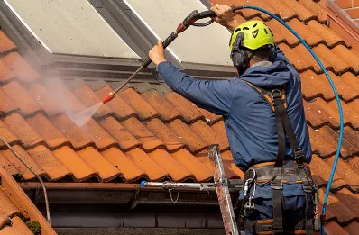 Démoussage et hydrofuge de toiture à Roquesérière